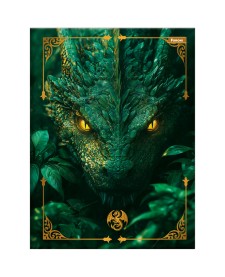 imagem principal do produto Caderno Brochura e Brocurão Drakos