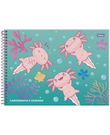 imagem principal do produto Caderno Cartografia Capa Dura Axolove