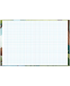 imagem de detalhe produto Caderno Pedagógico Aritmética (0,6 x 0,6 cm) Aventurinos