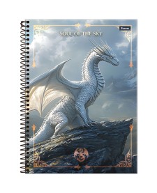 imagem principal do produto Caderno Universitário Capa Dura Drakos