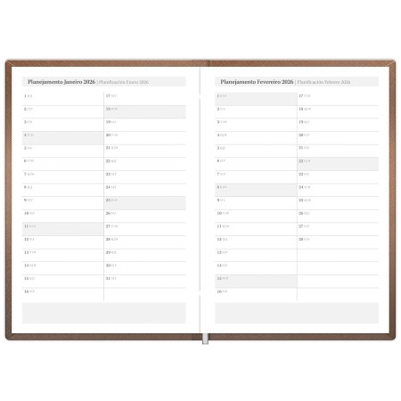 Foto ilustrativa Agenda Capri Star