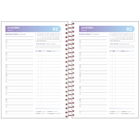 Foto ilustrativa Agenda Espiral Blush