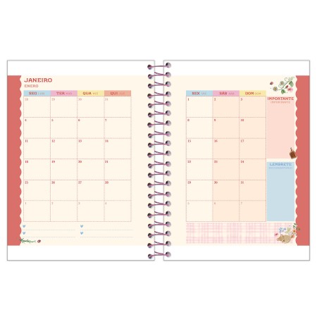 Foto ilustrativa Agenda Espiral Milly