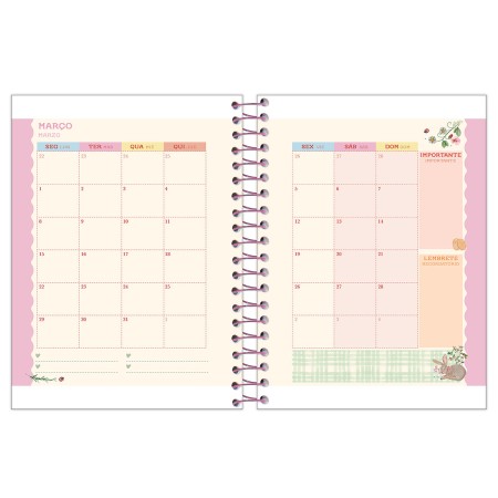 Foto ilustrativa Agenda Espiral Milly