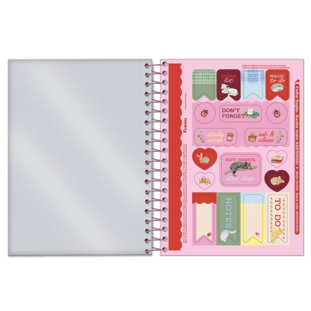 Foto ilustrativa Agenda Espiral Milly