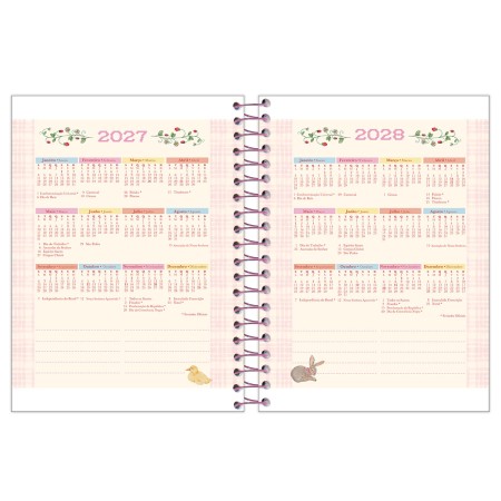 Foto ilustrativa Agenda Espiral Milly