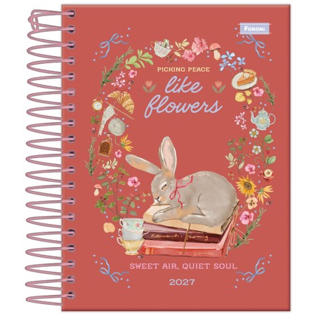 Foto ilustrativa Agenda Espiral Milly