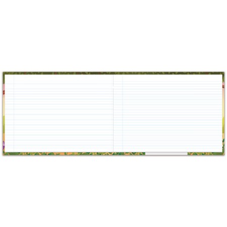 Foto ilustrativa Caderno Pedagógico Caligrafia Ternuritas