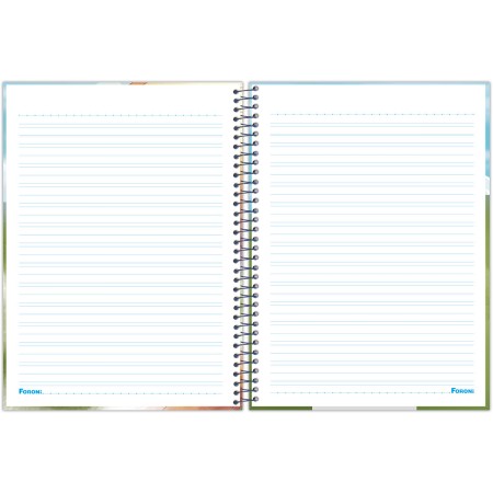 Foto ilustrativa Caderno Universitário Caligrafia Capa Dura Aventurinos