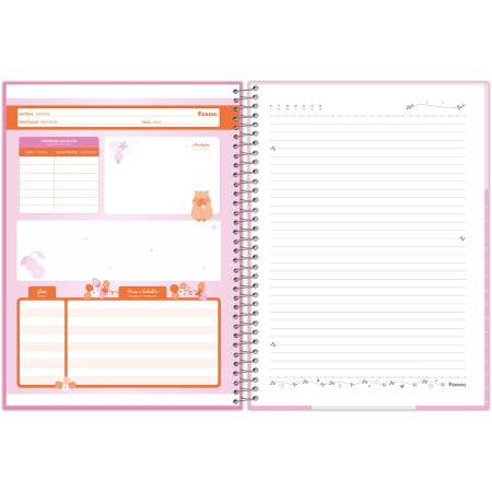 Foto ilustrativa Caderno Universitário Capa Dura Amazzu