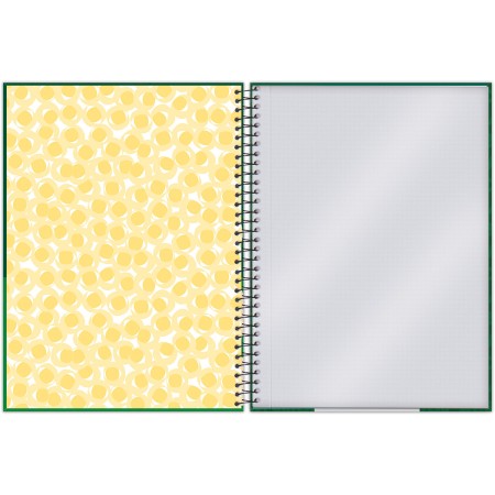 Foto ilustrativa Caderno Universitário Capa Dura Guaraná