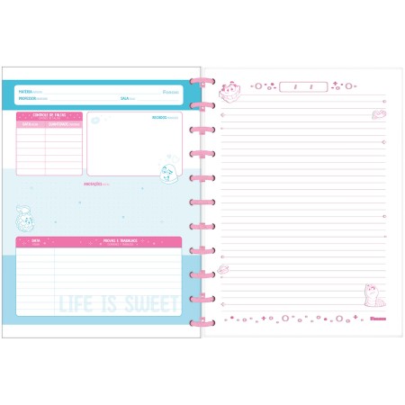 Foto ilustrativa Caderno Universitário Disco Fini