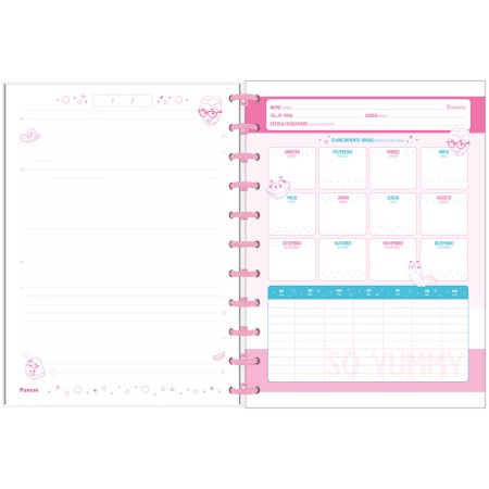 Foto ilustrativa Caderno Universitário Disco Fini