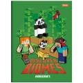 Foto ilustrativa Caderno Brochura e Brochurão Capa Dura Minecraft